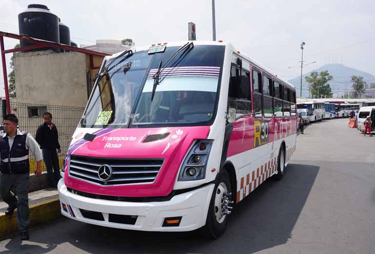 Transporte Rosa Mercedes 120